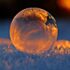 Close-up shot of a frozen bubble with warm reflections resting on a snowy surface at twilight.